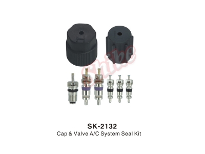 SK-2132