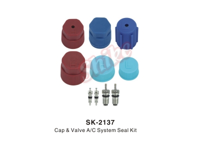 SK-2137
