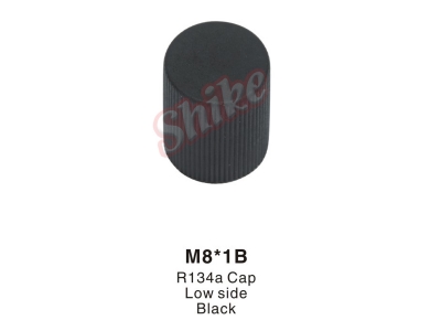 M8-1B
