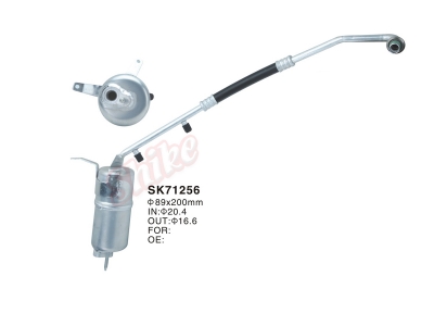 SK-71256